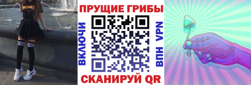 Галлюциногенные грибы Psilocybine cubensis цены наркотик Михайловка